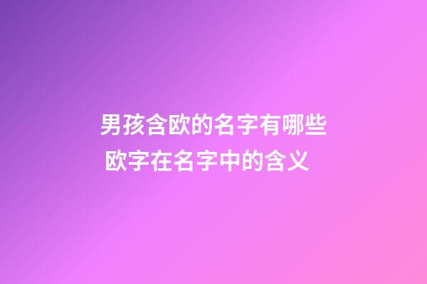 男孩含欧的名字有哪些 欧字在名字中的含义